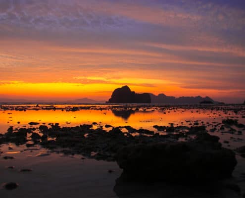 Sunset Sea by Royal Silk Destination Management DMC