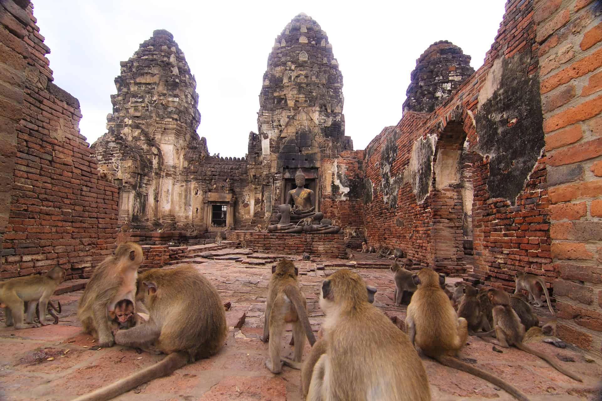 Introducing fascinating tours to the ancient city of Lopburi - Royal ...